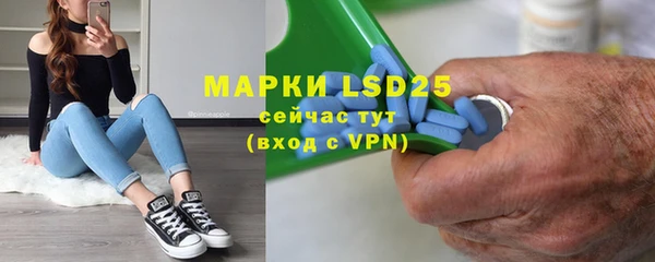 стафф Аркадак