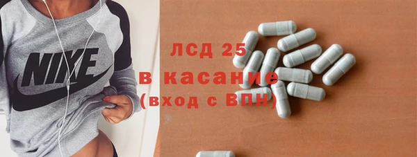 стафф Аркадак