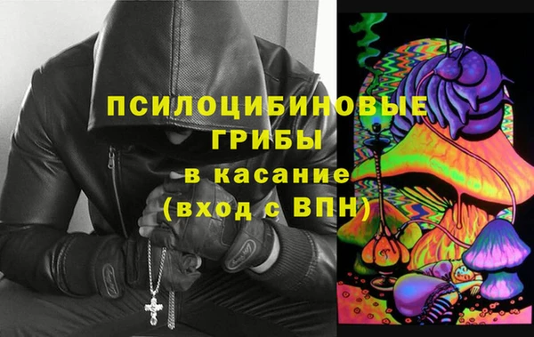 PSILOCYBIN Арсеньев