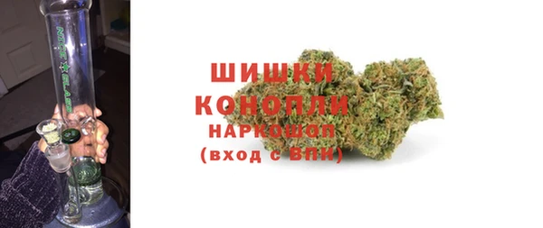 стафф Аркадак