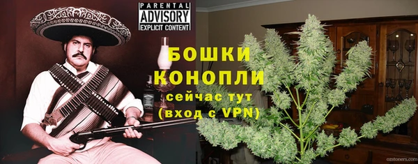 PSILOCYBIN Арсеньев