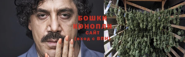 PSILOCYBIN Арсеньев