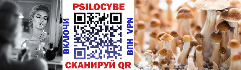 блэк спрут как войти  Нурлат  Псилоцибиновые грибы Psilocybine cubensis 